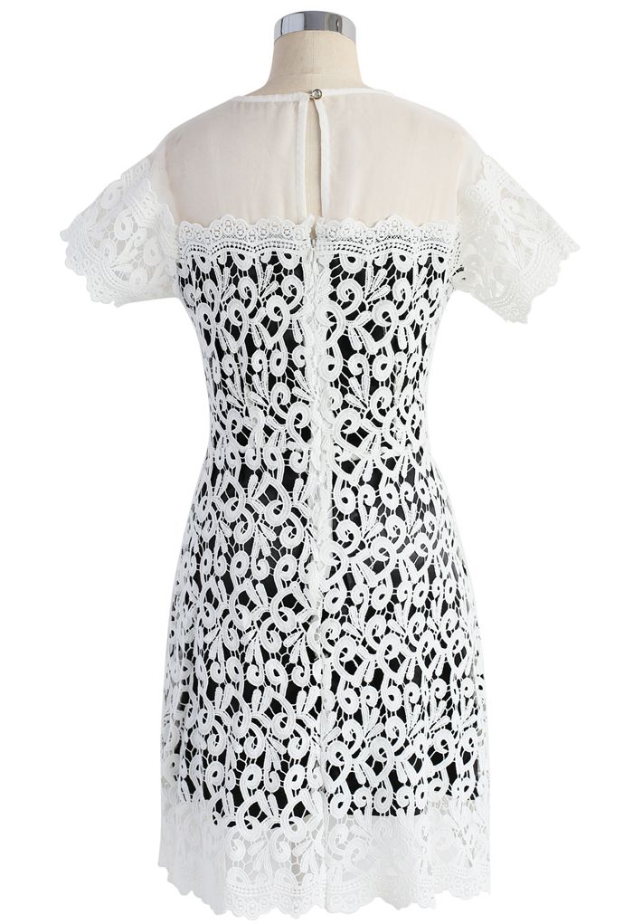 Timeless Delicacy Crochet Dress in White