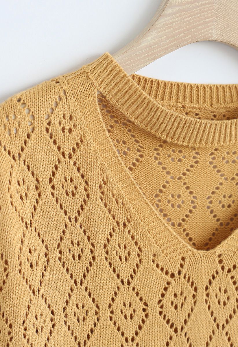 Delicacy Embroidery Sleeves Hollow Out Knit Sweater in Mustard